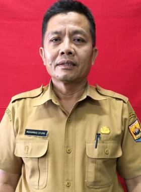 Kepala Dinas Perpustakaan dan Kearsipan